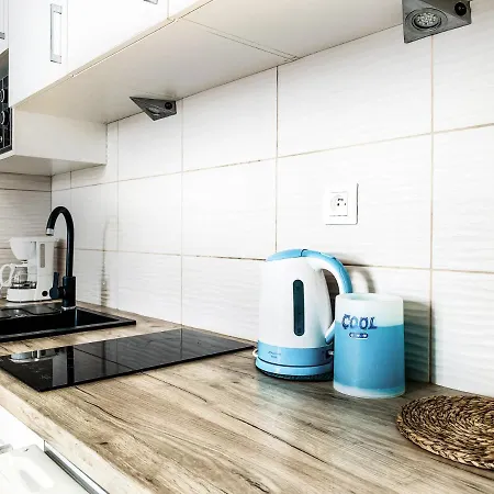 Next To Wawel Castle, Vistula River & Old Town Cracow * Krakow