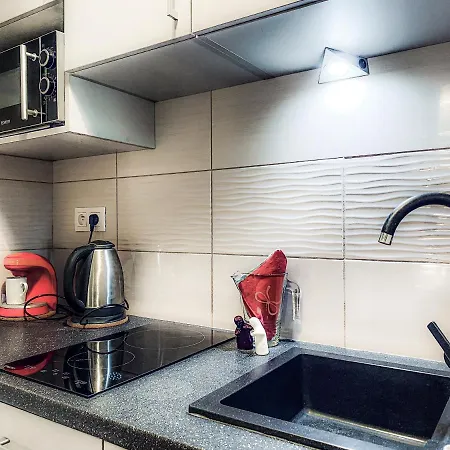 Next To Wawel Castle, Vistula River & Old Town Cracow Daire